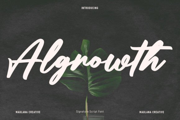 A Fresh Look at Algrowth: A Bold Script Font for Modern Web Design