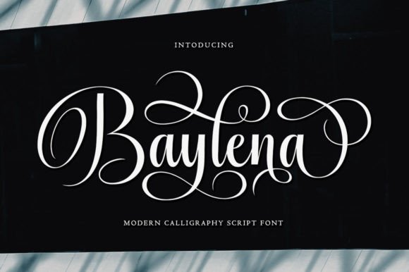 Baylena: A Stylish Script Font That Elevates Modern Web Design