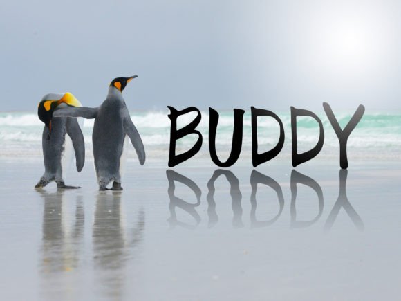 Buddy: A Handwritten Font That Brings Warmth to Brand Design