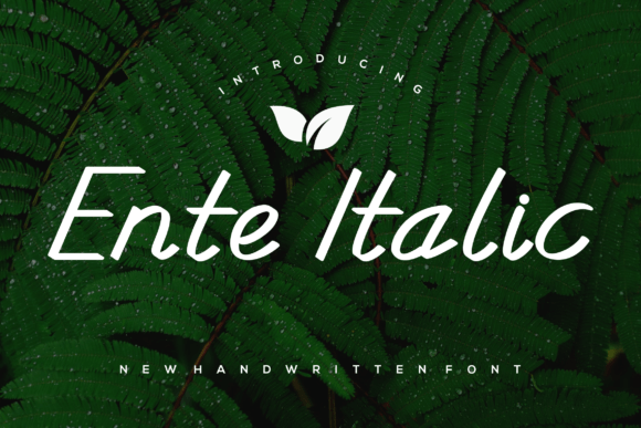 Enteitalic: The Handwritten Font That Elevates Craft and Product Design