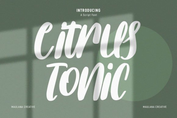 How Citrus Tonic Brought Personality to My Lifestyle Blog Redesign