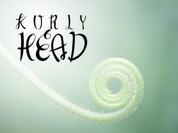 Kurlyhead: A Playful Handwritten Font That Elevates Small Business Branding