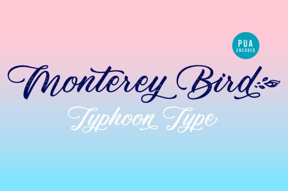 Monterey Bird: A Sweet Script Font for Modern Web and Digital Design